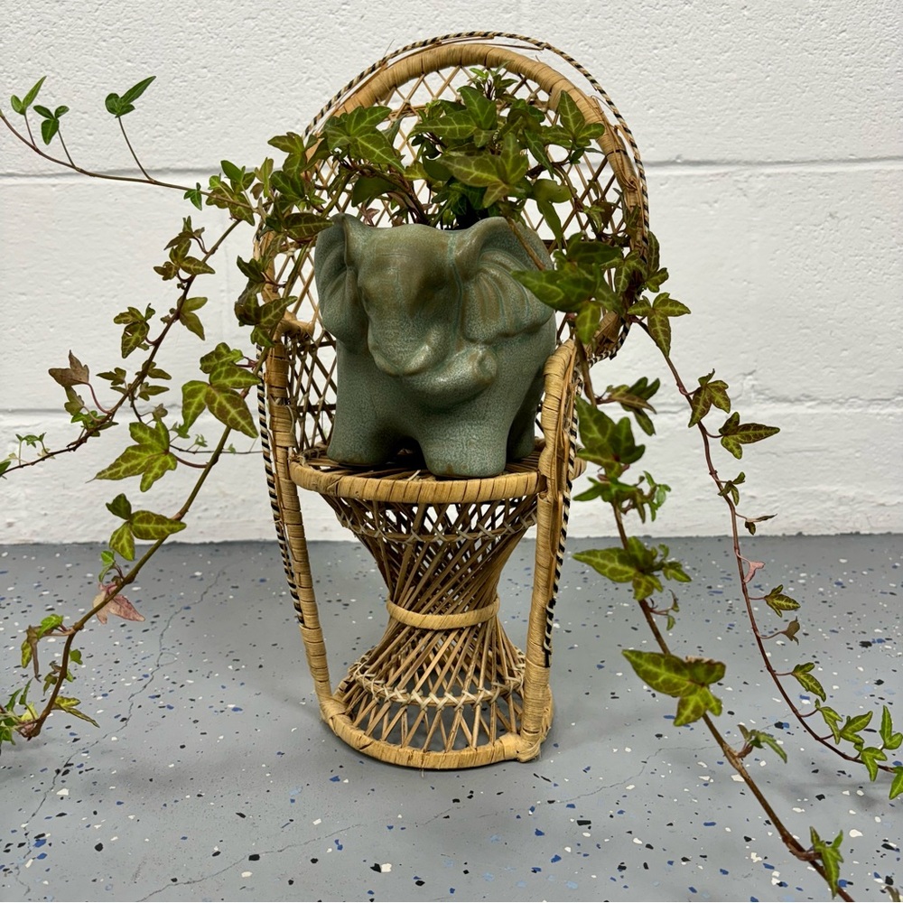 Vintage 16" Peacock Chair Cobra Fan Back Wicker Rattan Boho Doll Plant Stand